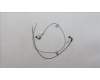 Lenovo 5A30S36092 Antenne Antenne L 82Y5 MAIN+AUX