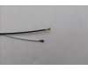 Lenovo 5A30S36106 Antenne Antenne H 83GH L+R