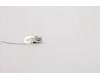 Lenovo 5A30W89195 Antenne Lx T550Q aux Antenne