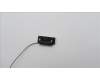 Lenovo 5A30W89227 Antenne Fru,13L FR 260mm ANT_LUX