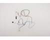 Lenovo 5A30Z88138 Antenne FRU P15 ACCY KITS WW+WL Antenne