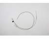 Lenovo 5A30Z88158 Antenne FRU T15G2_Antenne Kit WL<Speed>
