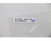 Lenovo 5A30Z88162 Antenne FRU Serval ACCY KITS ANT WLAN