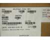 Lenovo 5A30Z88168 Antenne ACCY KITS Antenne WLAN AL