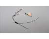 Lenovo 5A30Z88189 Antenne FRU AMPHE WLAN AL T14G3