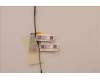 Lenovo 5A30Z88192 Antenne FRU Antenne SPEED WLAN T16G1