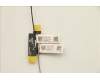 Lenovo 5A30Z88193 Antenne FRU Antenne AWAN WLAN T16G1