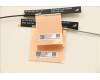 Lenovo 5A30Z88194 Antenne FRU Antenne SPEED WLAN AL T16G1