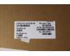 Lenovo 5A30Z88198 Antenne FRU Antenne WLAN(Main+Aux)Fenrir