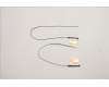 Lenovo 5A30Z88201 Antenne FRU ACCY KITS Antenne WLAN AL