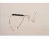 Lenovo 5A30Z88213 Antenne KIT WWAN ANT AWAN