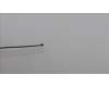 Lenovo 5A30Z88223 Antenne Antenne WL Main&Aux HT 300WG4