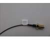Lenovo 5A31F27724 Antenne Fru,148mm RF cable_HB