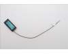 Lenovo 5A31F27780 Antenne LOQ 26L main Antenne_LUX