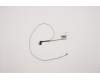 Lenovo 5C10S29996 Displaykabel Cable W 81VS