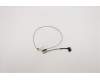 Lenovo 5C10S29996 Displaykabel Cable W 81VS