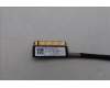 Lenovo 5C10S31205 EDP cable W 83J3
