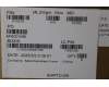 Lenovo 5C10S31361 CABLE Cable L 83N3 M/B-FP/B MGE