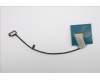 Lenovo 5C10S31533 CABLE Cable L 83L0 LUXSHARE M/B-EDP
