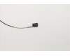 Lenovo 5C10S73171 CABLE FRU CABLE FP730 UHD Cable