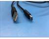 Lenovo 5C18C21915 SP101FU Cable_USB&*61004-01004 CS