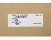 Lenovo 5CB0X56241 Tastatur inkl. TopcaseASM_US INTE L81YKBLNFPLT