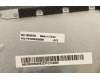 Lenovo 5CB0X56266 Tastatur inkl. TopcaseASM_AR-E L81YK NBLFPPG