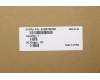 Lenovo 5CB0Y99180 Tastatur inkl. Topcase ASM_USINTE BLNFPW81X3GY