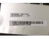 Lenovo 5CB0Z31247 Tastatur inkl. Topcase ASM_SP L81YKFPNBLAB