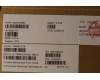 Lenovo 5CB1A24880 Tastatur inkl. Topcase ASM_TURL81YQBLFPPGML
