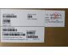Lenovo 5CB1J23821 Tastatur inkl. Topcase ASM_RUS L82TK_DT