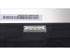 Lenovo 5D10S39977 DISPLAY LCD module L83BY N touch MN