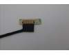Lenovo 5D10S40072 DISPLAY LCD MODULE H 83DR GL300N HD LG