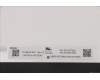 Lenovo 5D10Z77954 DISPLAY FRU INX N116BGE-EA2 C5 11.6 HD