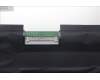 5D11C95924 Lenovo DISPLAY UHDAG800n100%DCI-P3HDR400FCCAUO