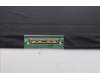 Lenovo 5D11P88007 Lenovo DISPLAY, 17.3\", FHD, Non_Touch, Anti-Glare, IPS, 300nit, 100%SRGB