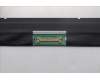 Lenovo 5D11Q65304 Lenovo DISPLAY, 11.6\", HD, Non_Touch, Anti-Glare, IPS, 250nit, 50%NTSC