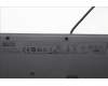Lenovo 5D50U84650 AI Keyboard External,USB,Swiss French/German,Black