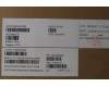 Lenovo 5M10Z41236 MECH_ASM CCov KBD UK UK(LTN)BK FPR