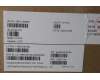 Lenovo 5M11L64666 MECH_ASM KBDW C EURO ENG BKLTLTN WW USGY