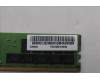 Lenovo 5M31E39596 Arbeitsspeicher RDIMM,32GB,DDR4,3200,Hynix