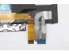 Lenovo 5N20V43918 NB_KYB CMFL-CS20,BK-BL,LTN,HUN