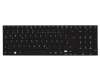 Acer Aspire E1-530G Original Tastatur DE (deutsch) schwarz