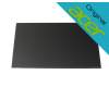 Acer TravelMate P2 (TMP216-51-G2-TCO) Original IPS Display (1920x1200) matt 60Hz