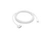 Apple MW613ZM/A USB-C auf MagSafe 3
