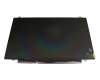 HP ProBook 455 G7 Original TN Display (1366x768) matt 60Hz