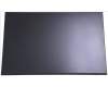 Acer KL.16005.004 Display.16\'.WQXGA.matt.AUO