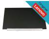 Lenovo 5D10P53898 original TN Display HD (1366x768) matt 60Hz